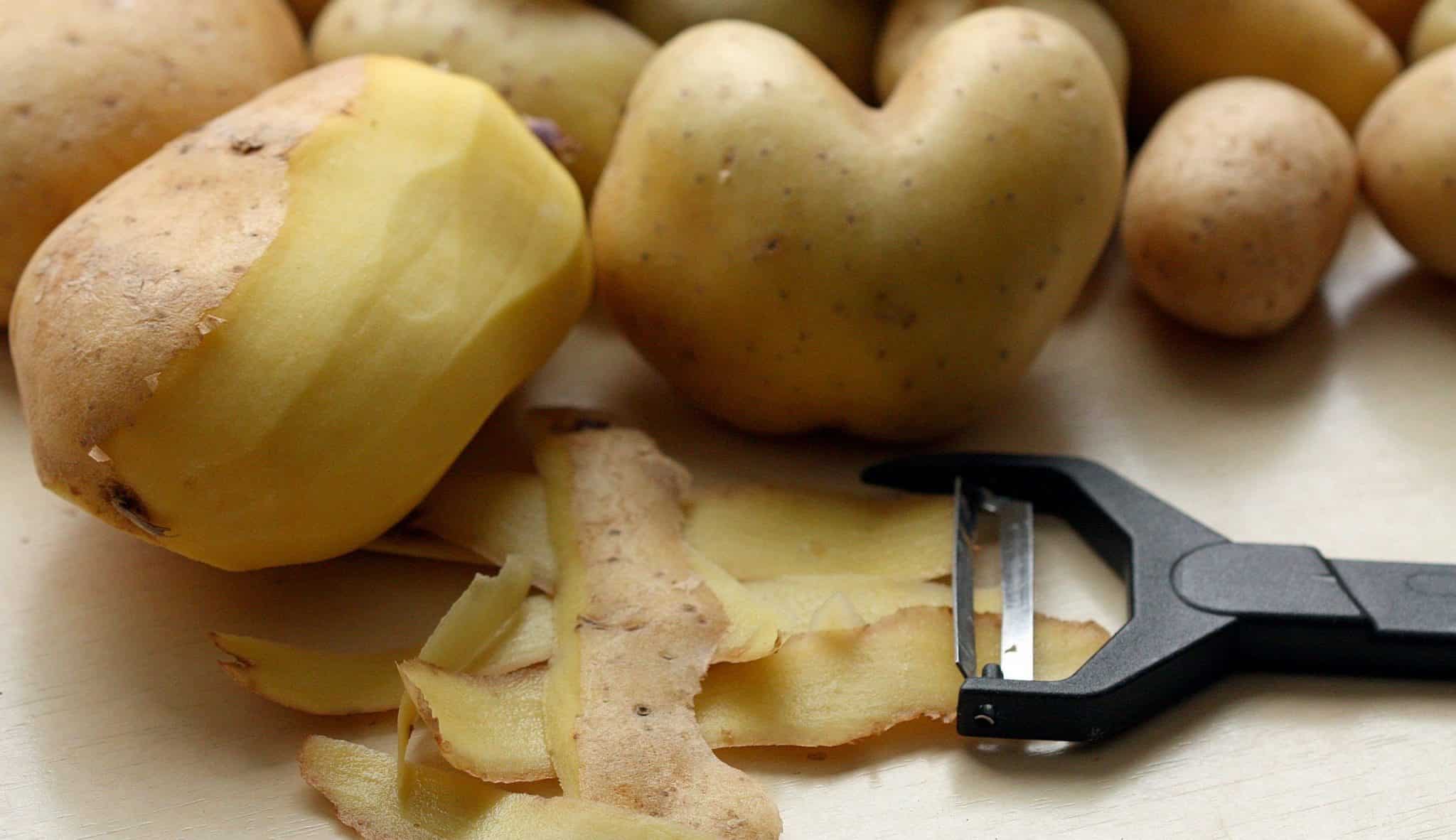 How To Unclog A Garbage Disposal Clogged With Potato Peels Mr