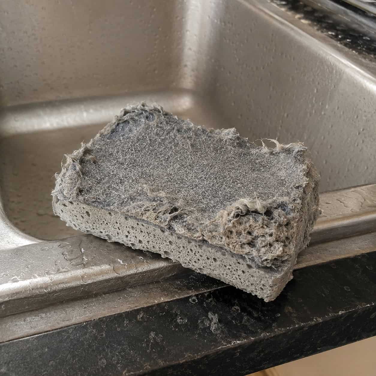 Your Kitchen Sponge