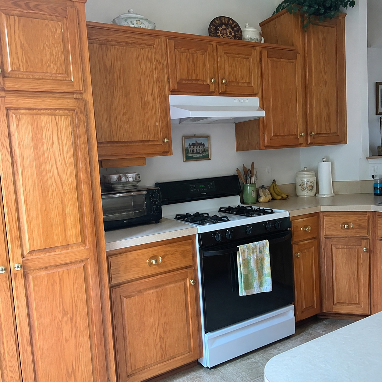 Honey-oak or orange-stained raised-panel cabinets