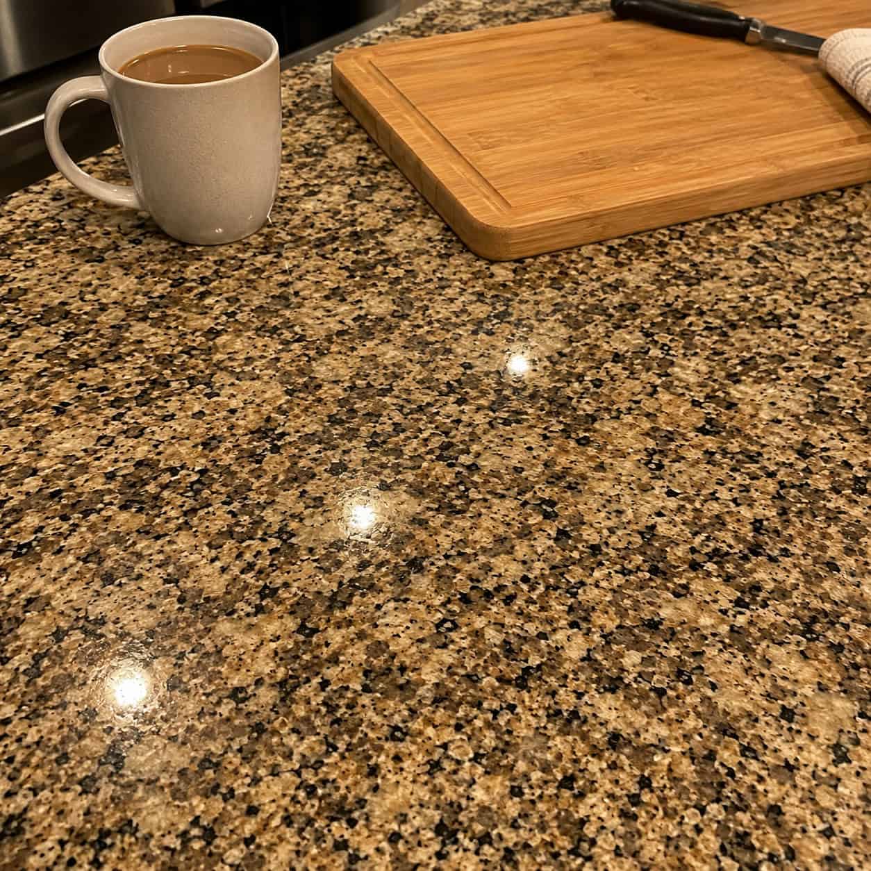 Heavily Speckled Granite Countertops