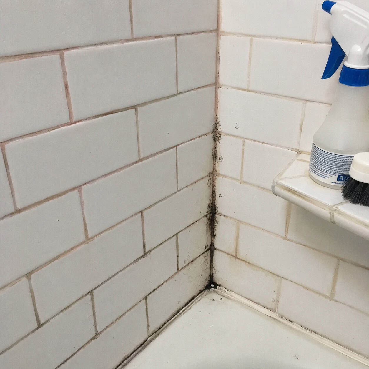 Light-Colored Grout Everywhere