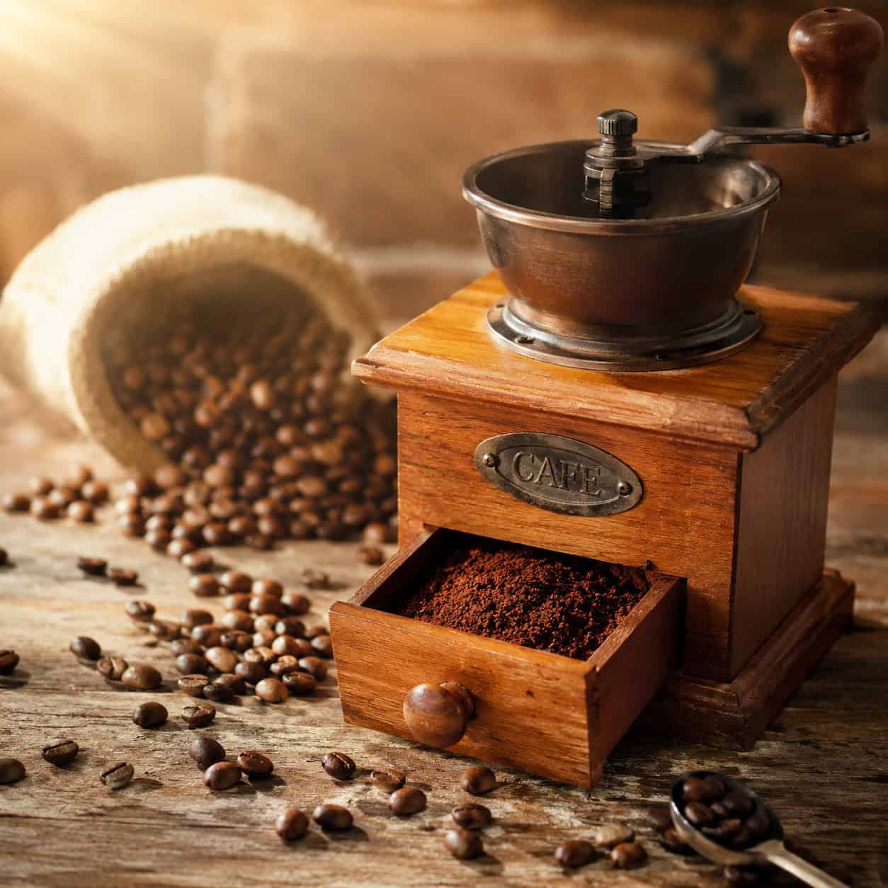 Box-Style Burr Coffee Grinder