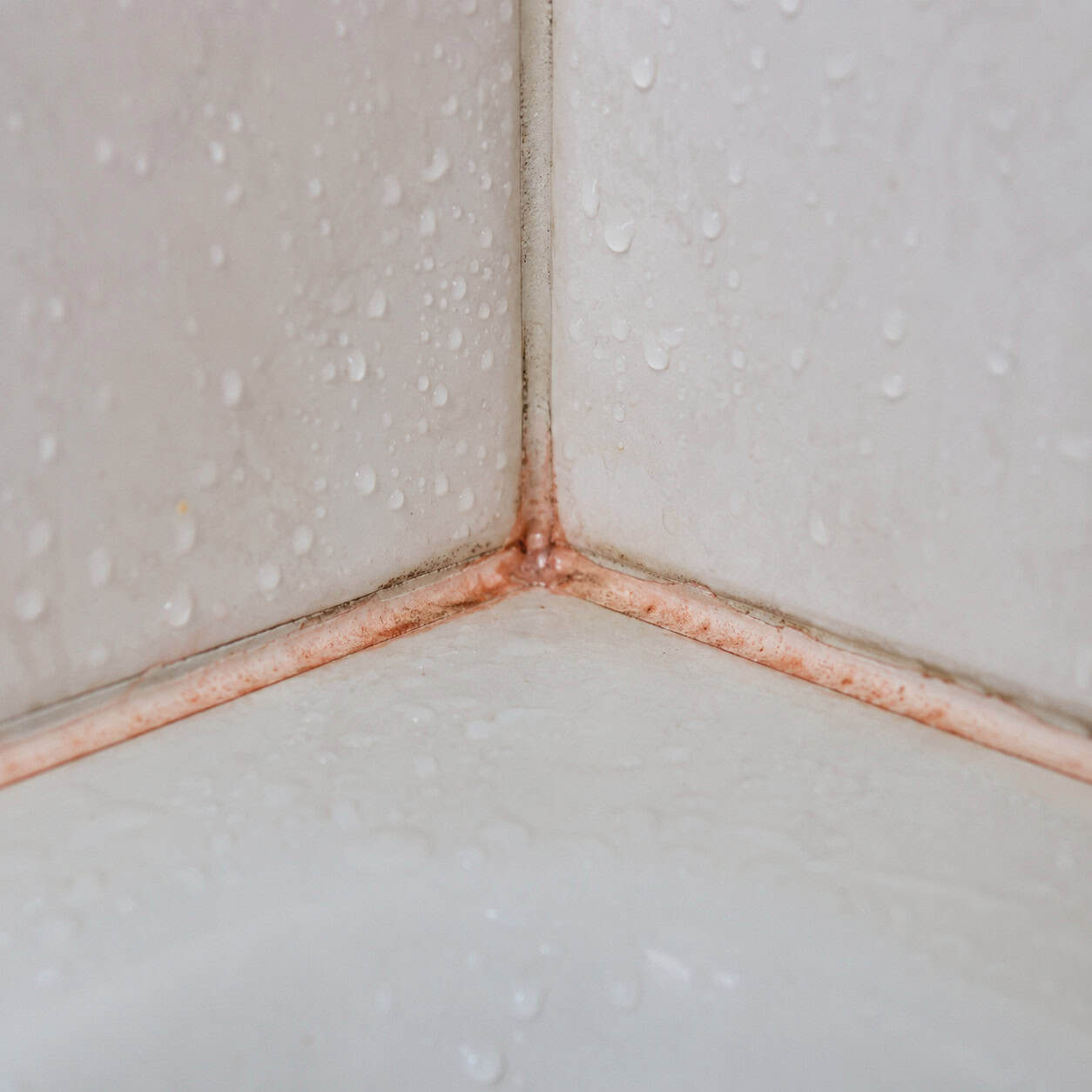 Pink Slime in the Grout and Shower Corners