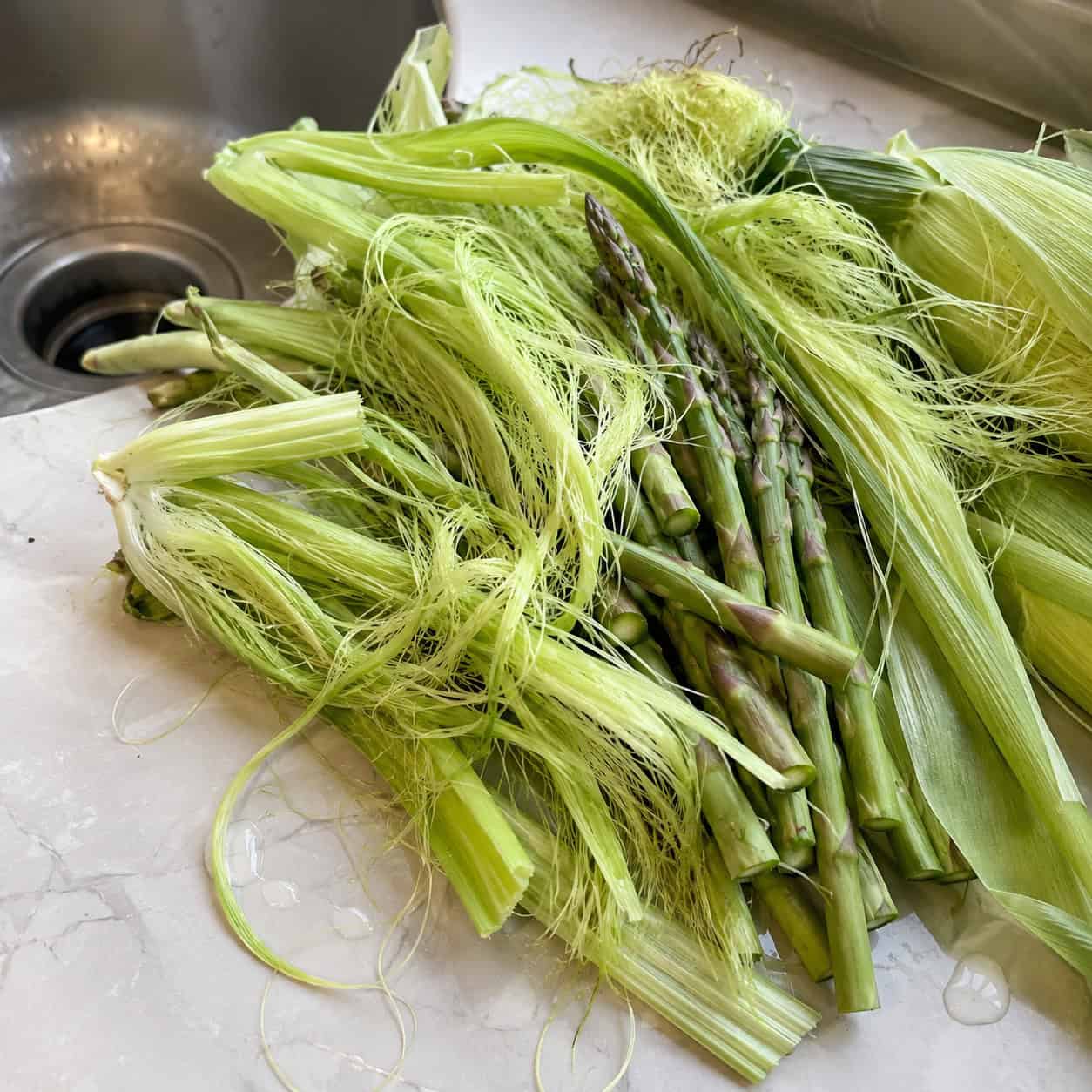 Fibrous Vegetables (Celery, Asparagus, Corn Husks)