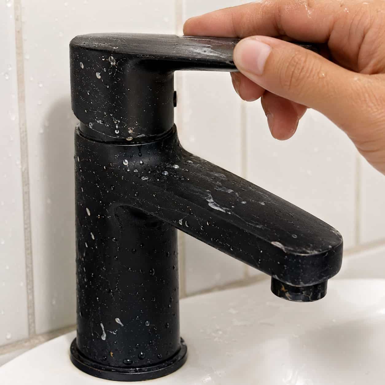 Matte Black Faucets and Fixtures