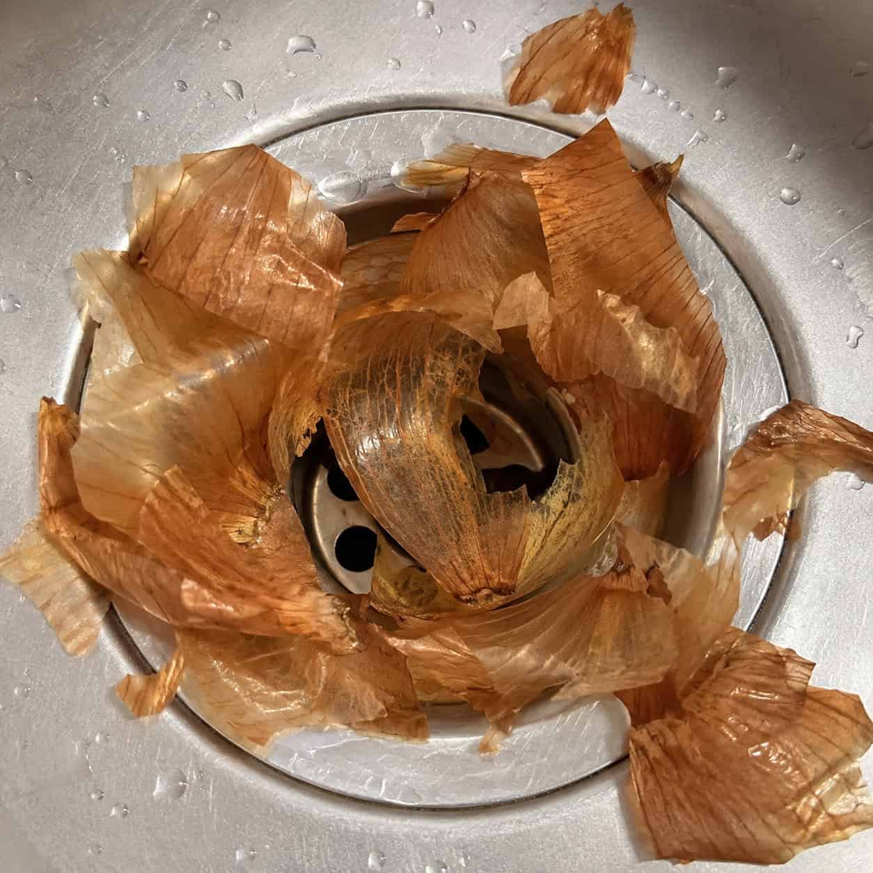 Onion Skins