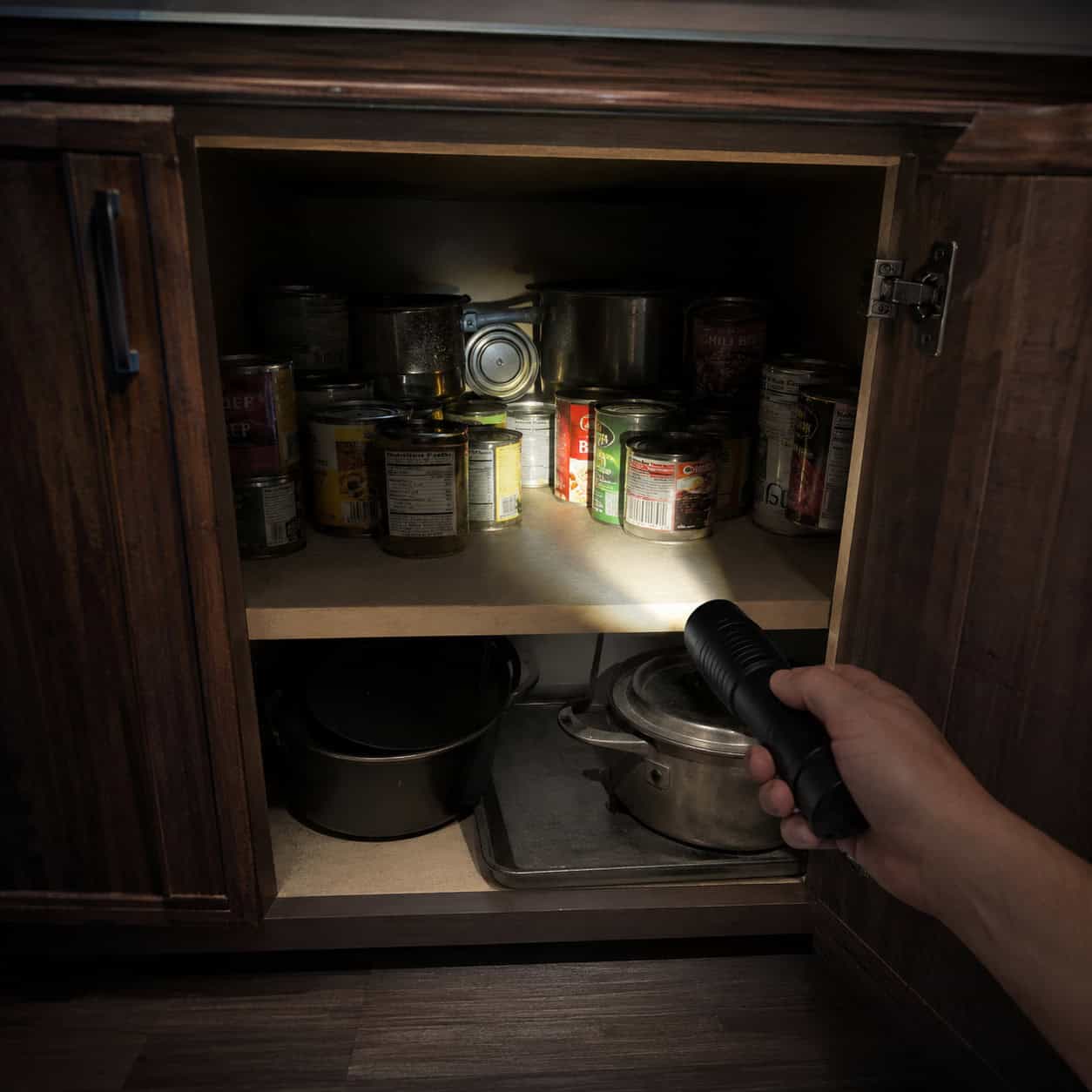Cavernous deep cabinets with no pull-outs