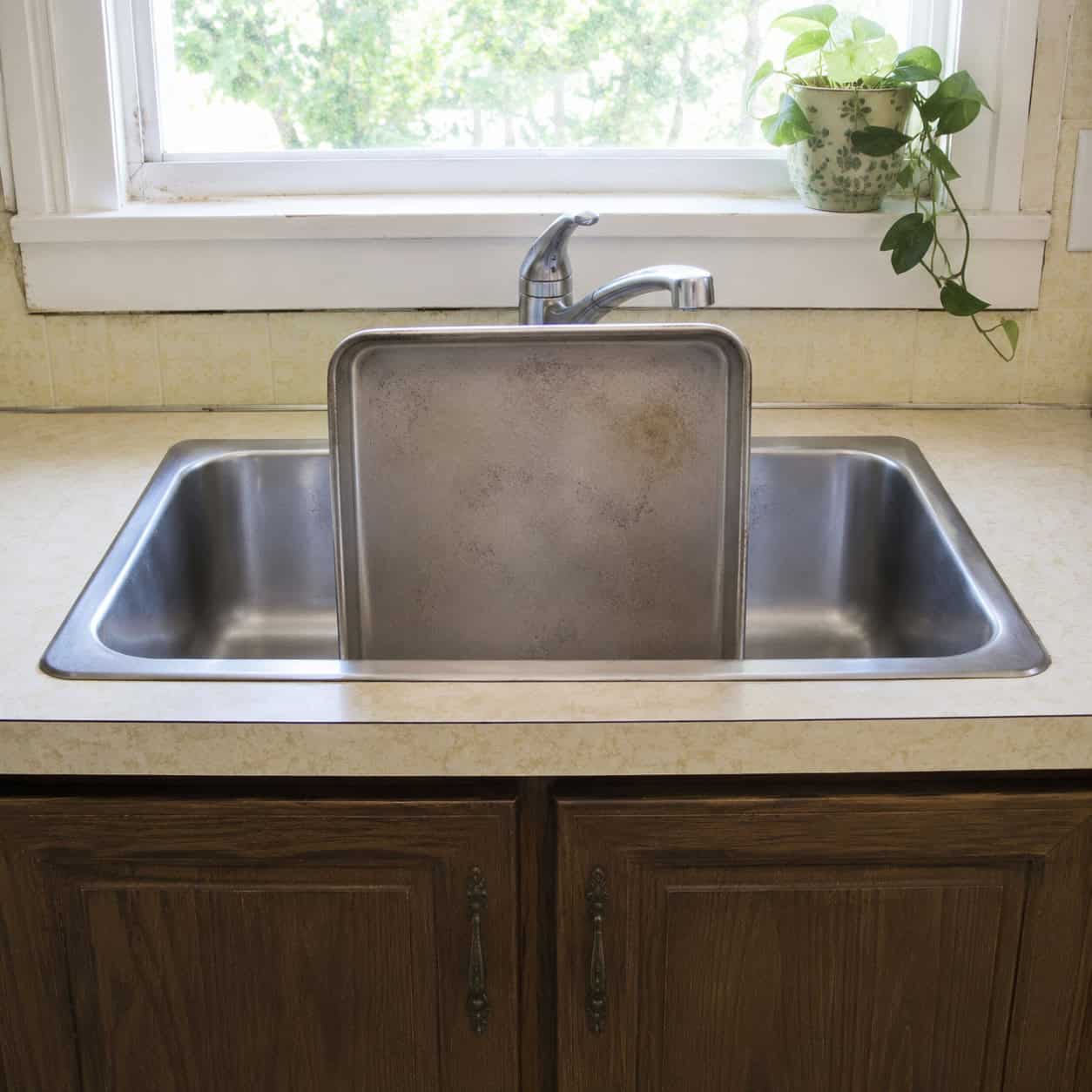 The Shallow 50/50 Double-Bowl Sink