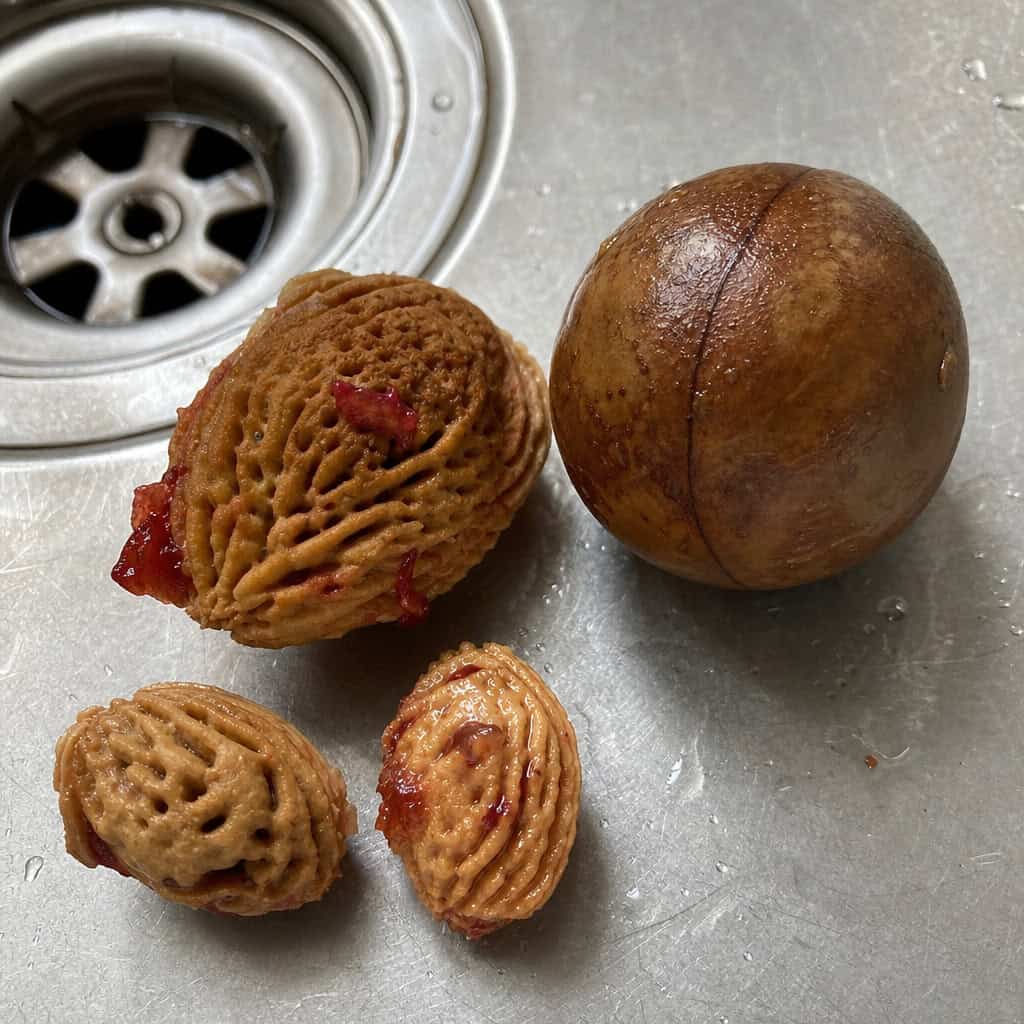 Fruit Pits