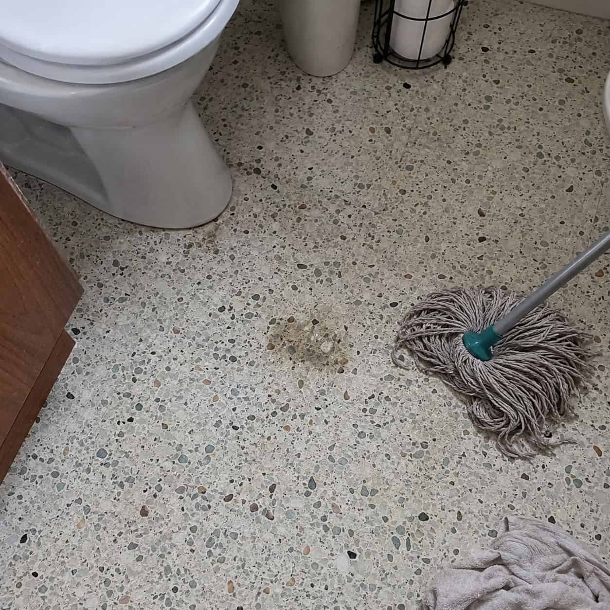 Terrazzo Surfaces and Floors