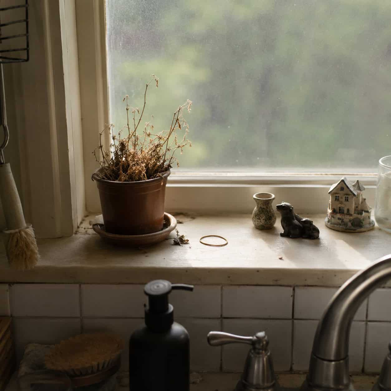 The Windowsill Above the Sink