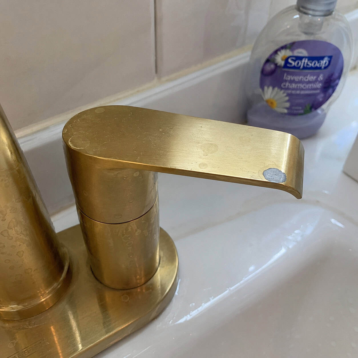 Brushed Gold and Champagne Bronze Fixtures
