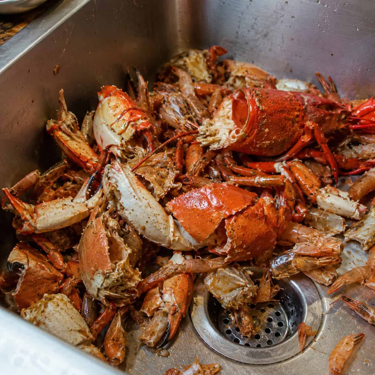 Seafood & Shellfish Shells