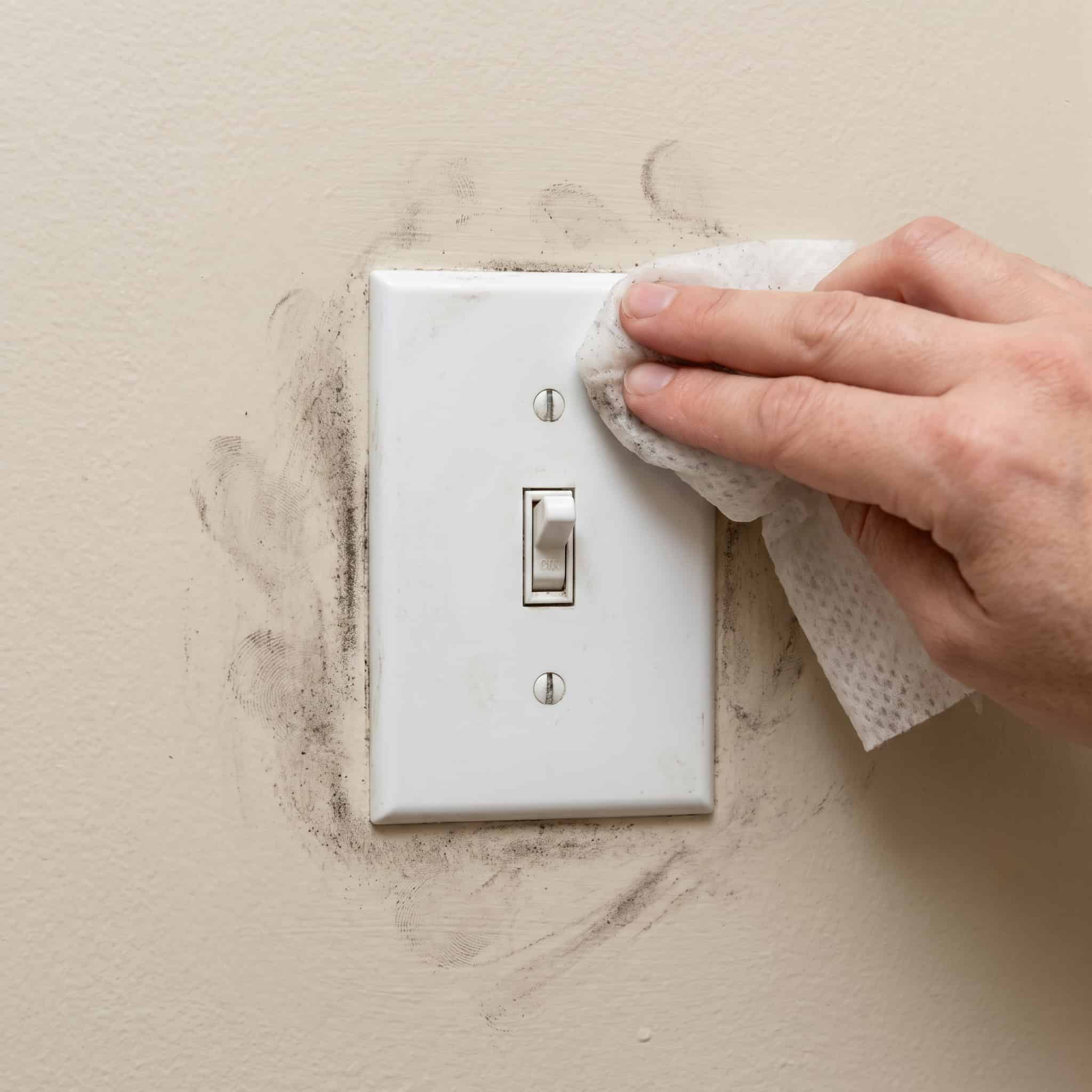 Grimy High-Touch Spots — Switches and Handles
