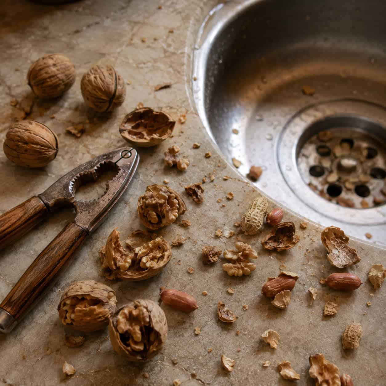 Nuts & Nut Shells