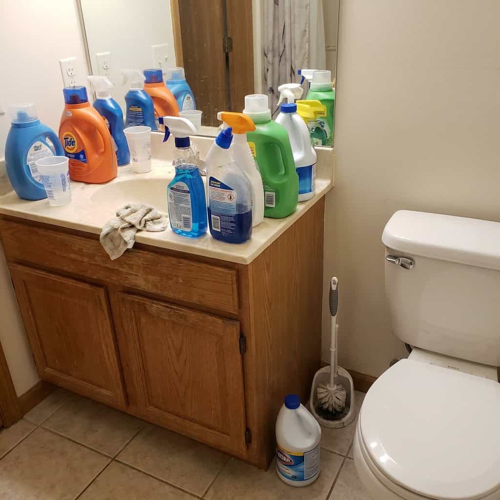 Cleaning Supplies and the Toilet Brush on Display