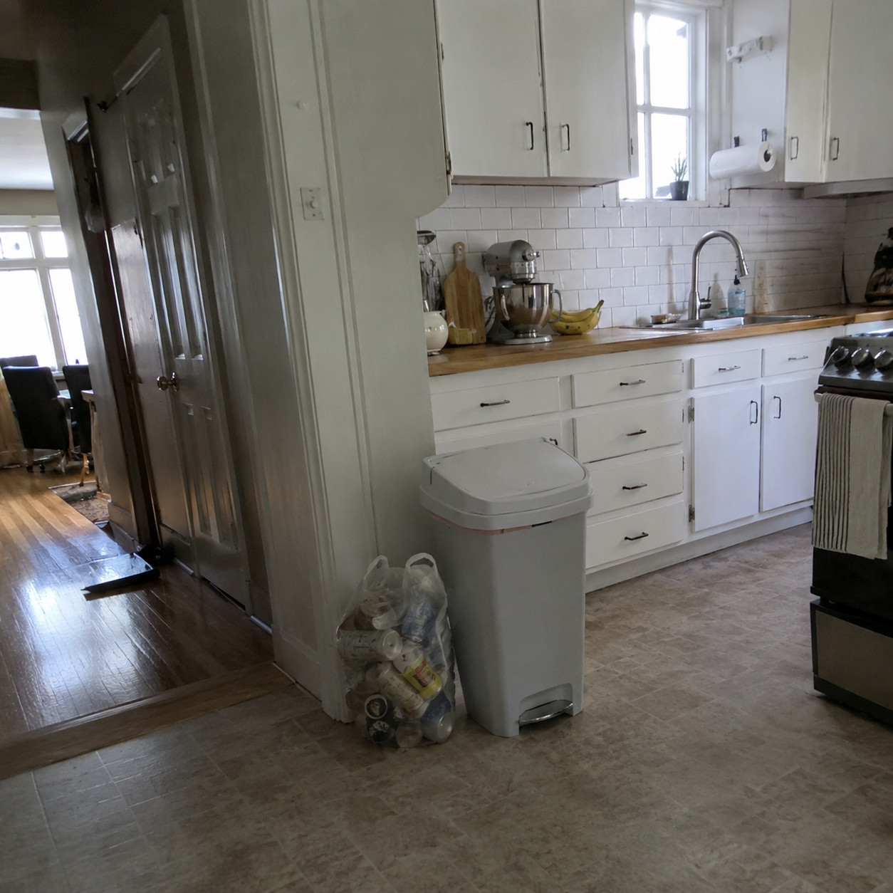 Forgetting A Dedicated Trash And Recycling Pull-Out