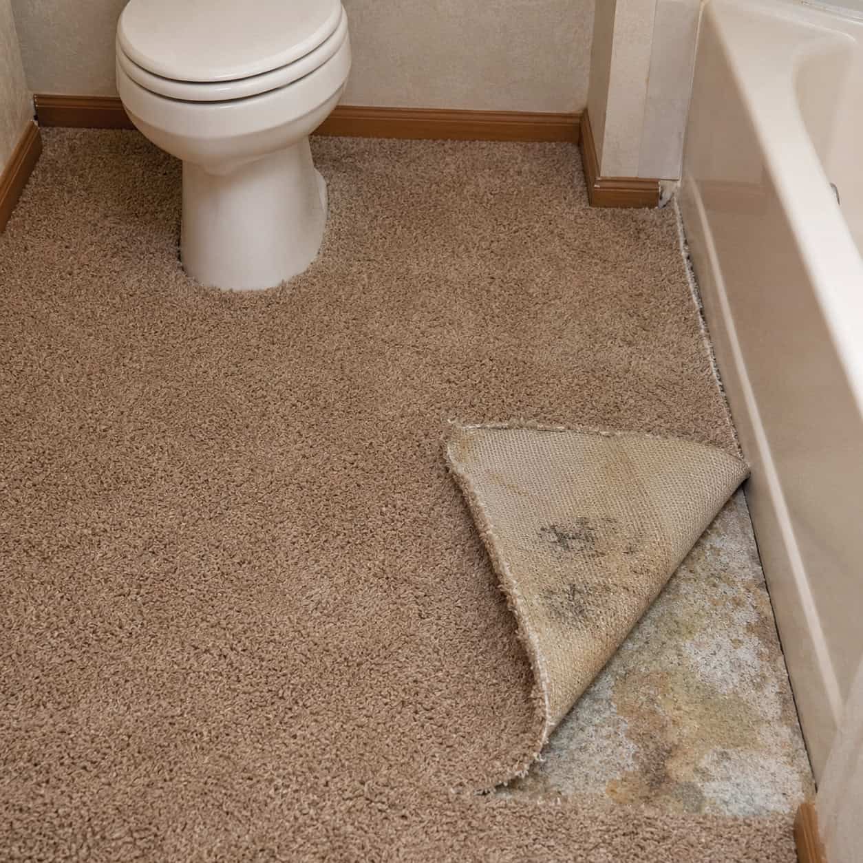 Wall-to-Wall Bathroom Carpet