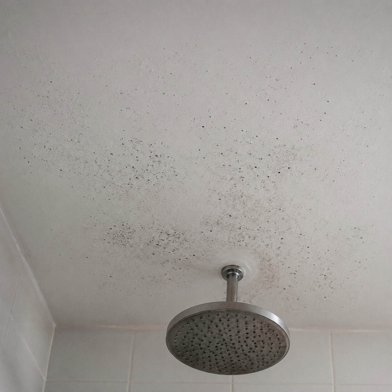 Black Mold Spots on the Ceiling Above the Shower