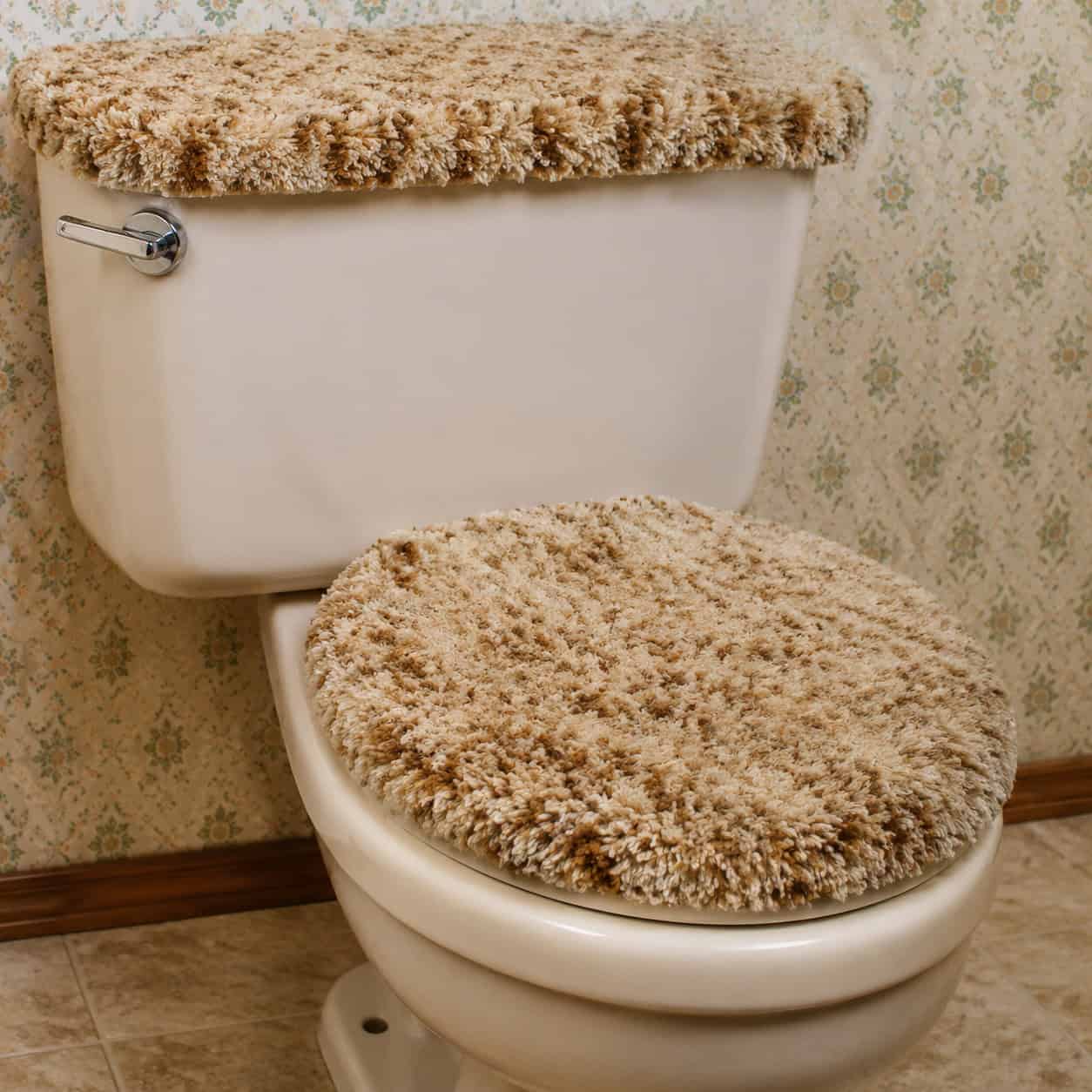 The Carpeted Toilet Lid and Fuzzy Seat Cover