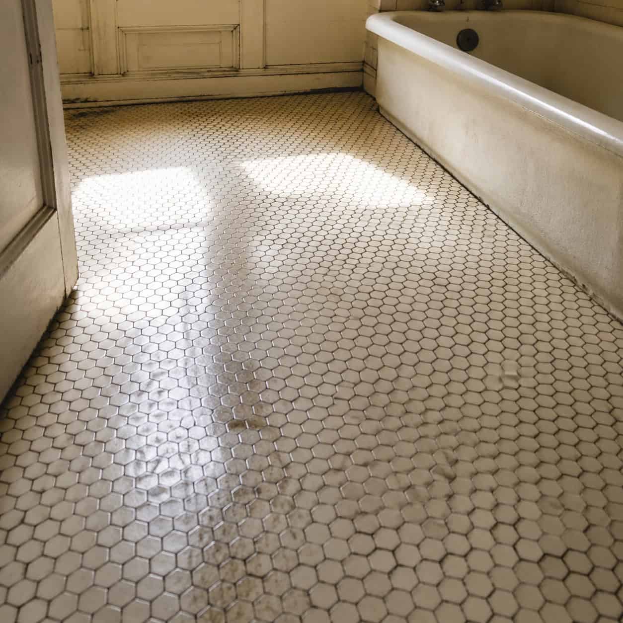 White Hexagon Mosaic Floor