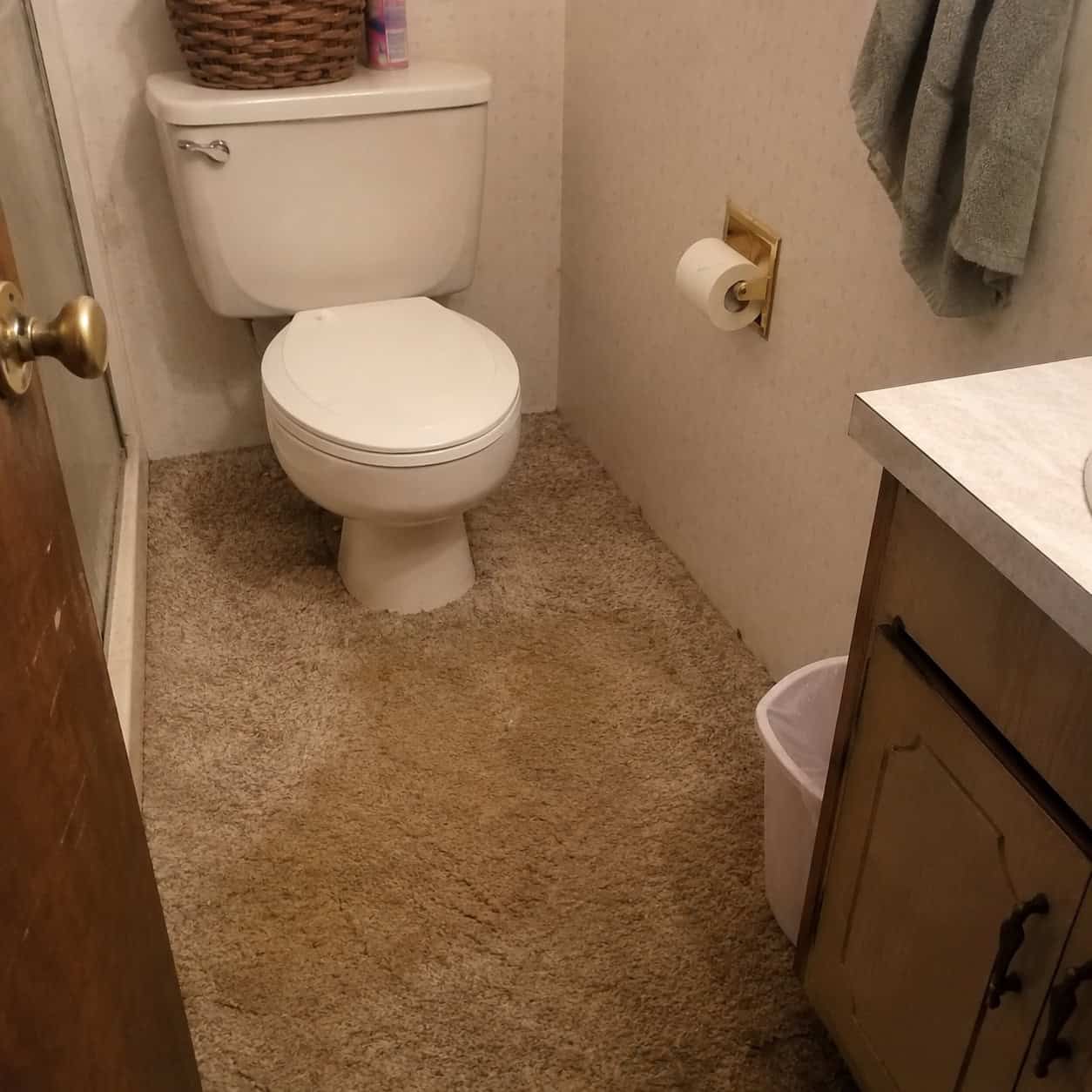 Carpet Anywhere in the Bathroom
