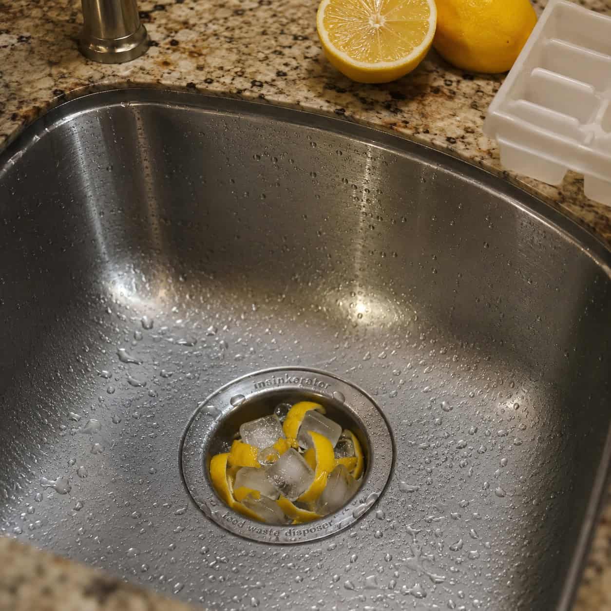 Lemon Peels and Ice Cubes in the Garbage Disposal