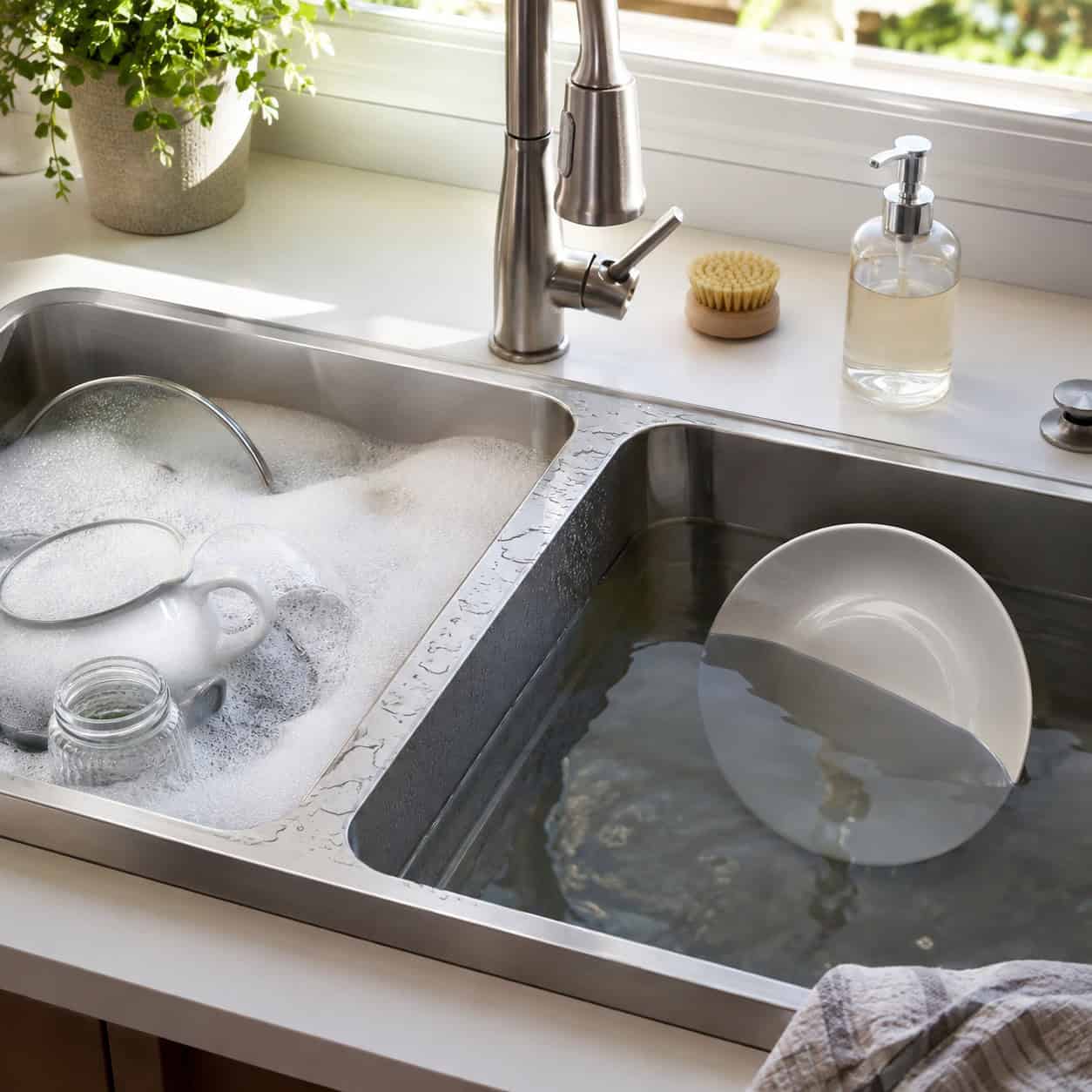 Two Basins: One to Wash, One to Rinse