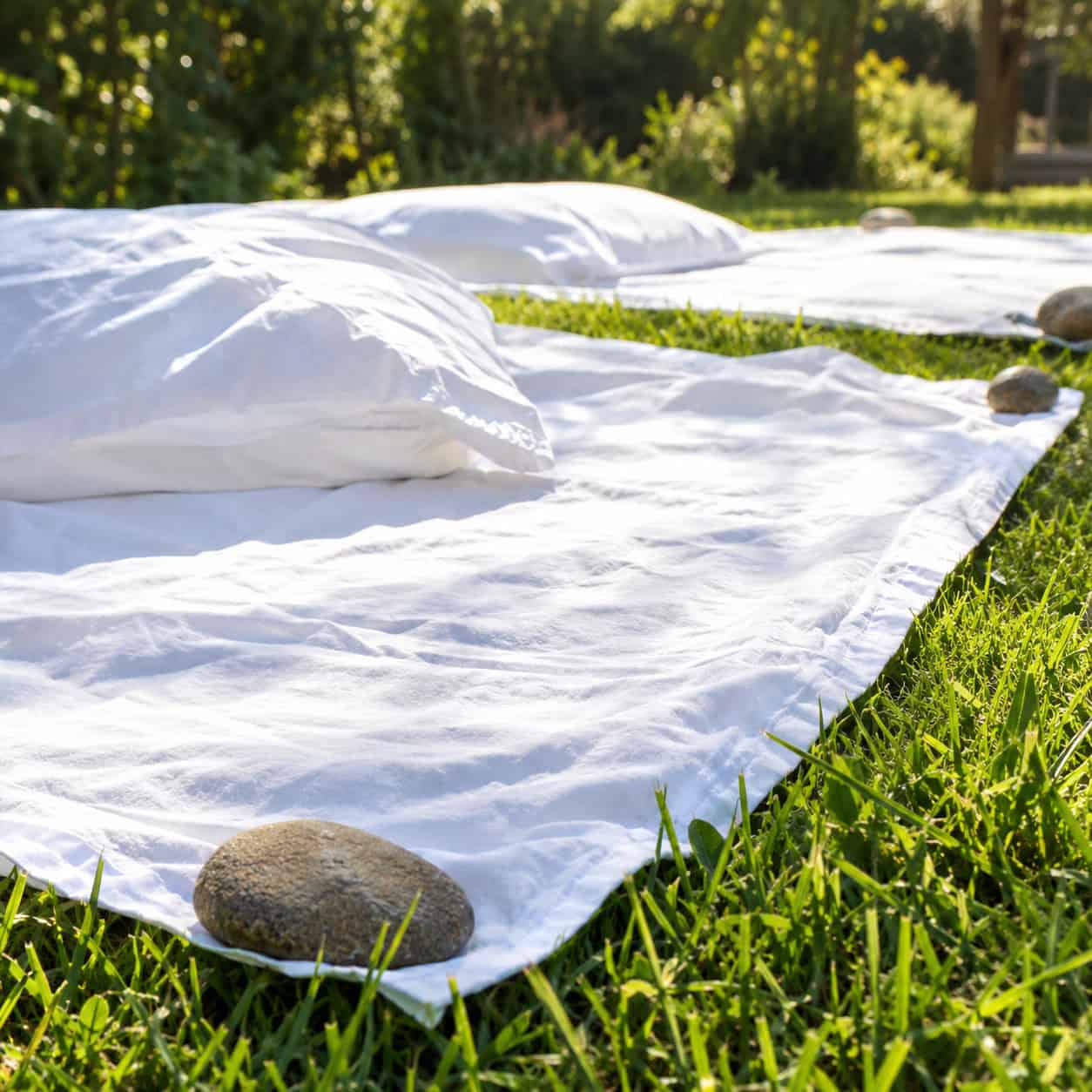 She Sunned the Whites on the Grass