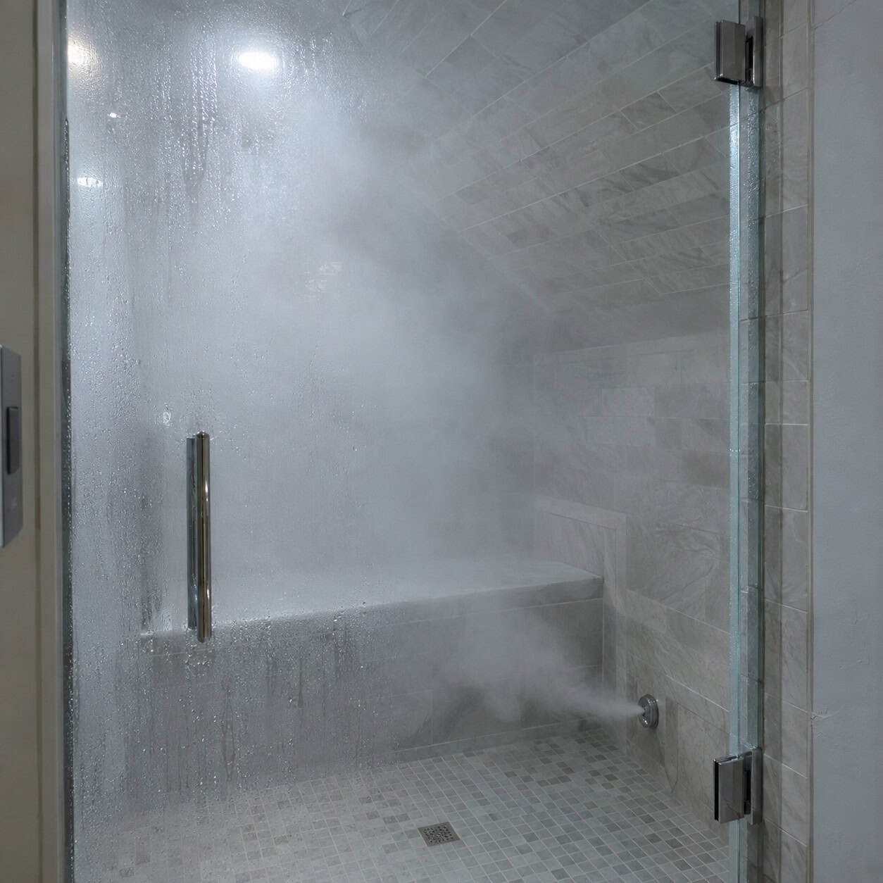 The Steam Shower Generator