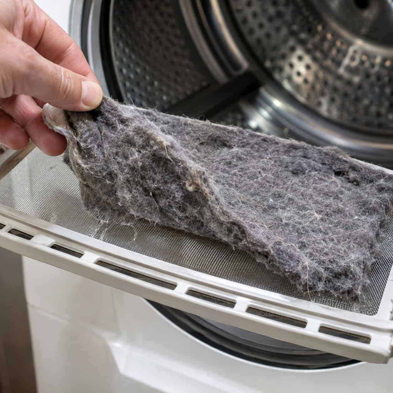 The Lint Screen Got Cleaned Every Single Load