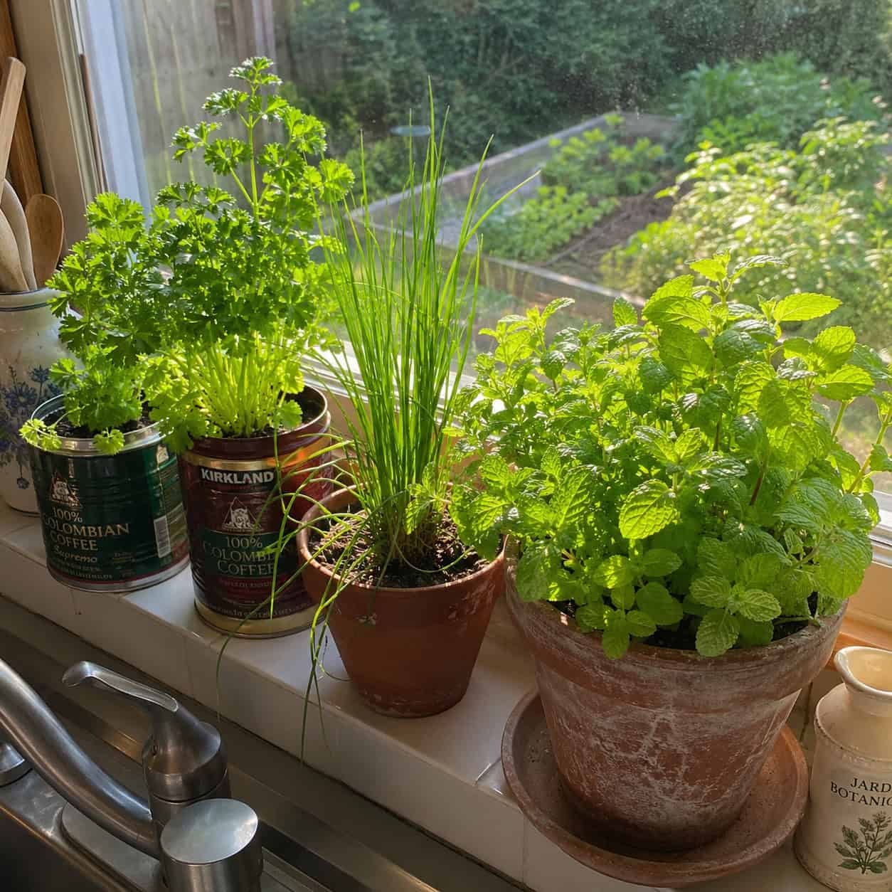 Herbs on the Windowsill, Beans by the Back Door