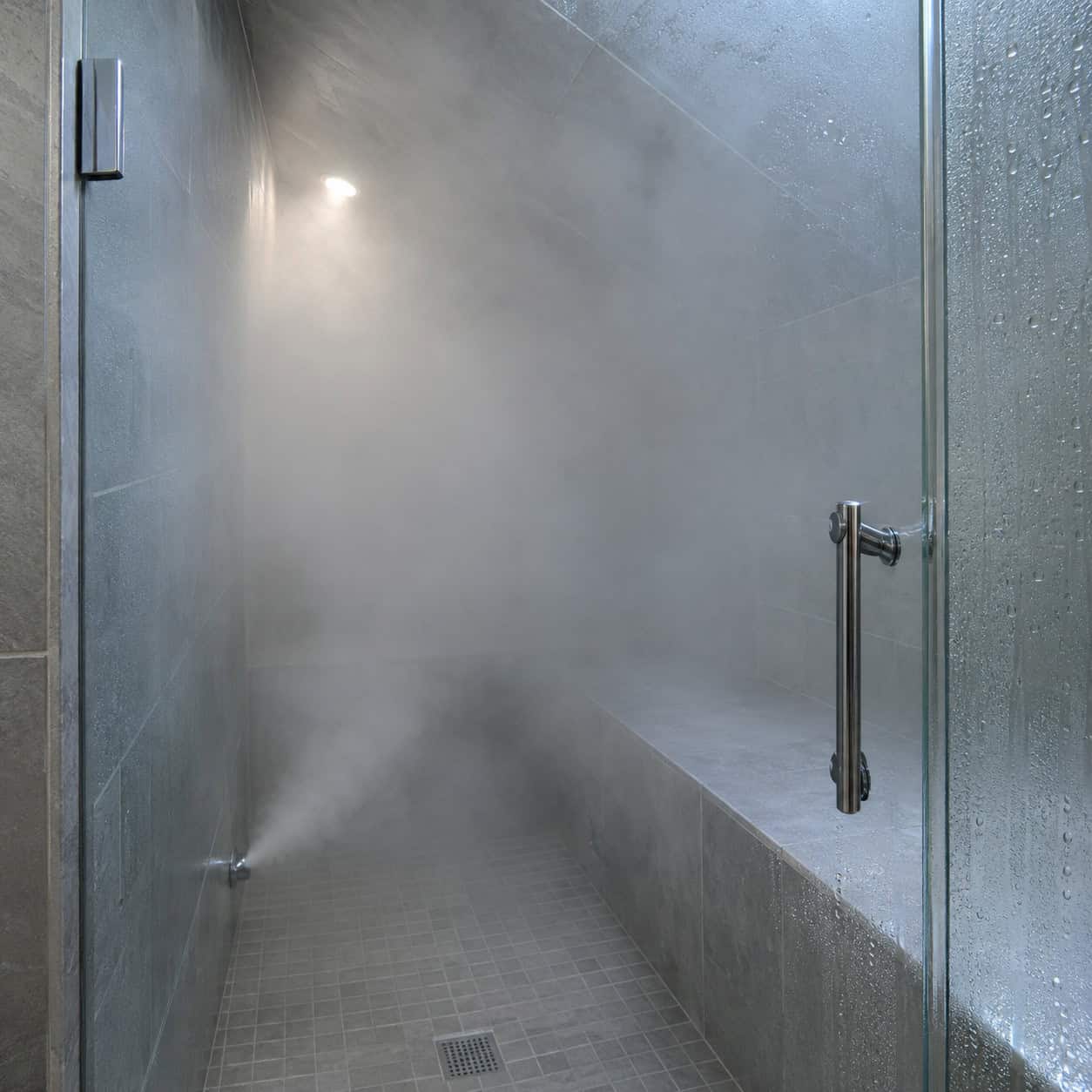 The Steam Shower Generator