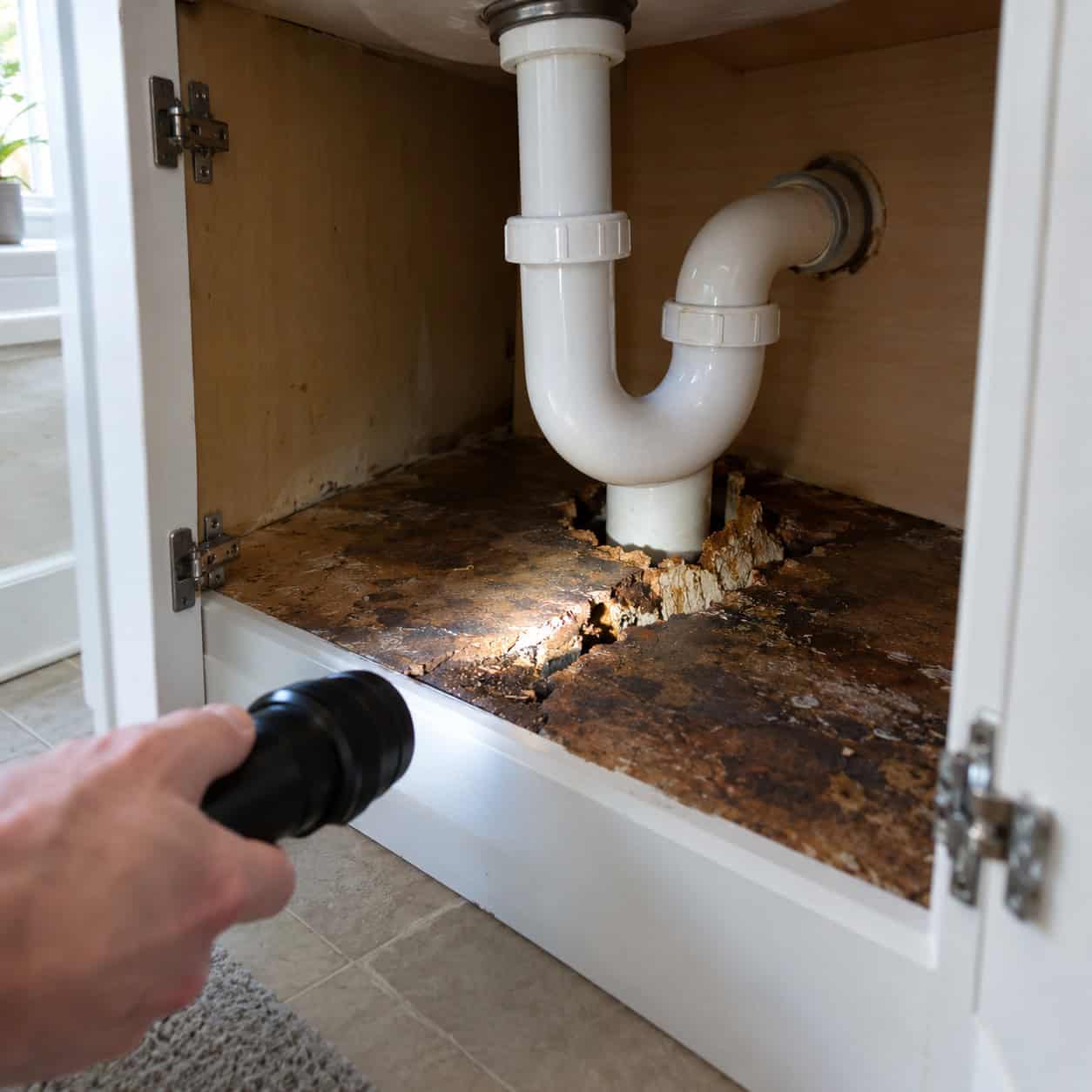 A Particleboard Cabinet Box Hiding Behind a Pretty Door