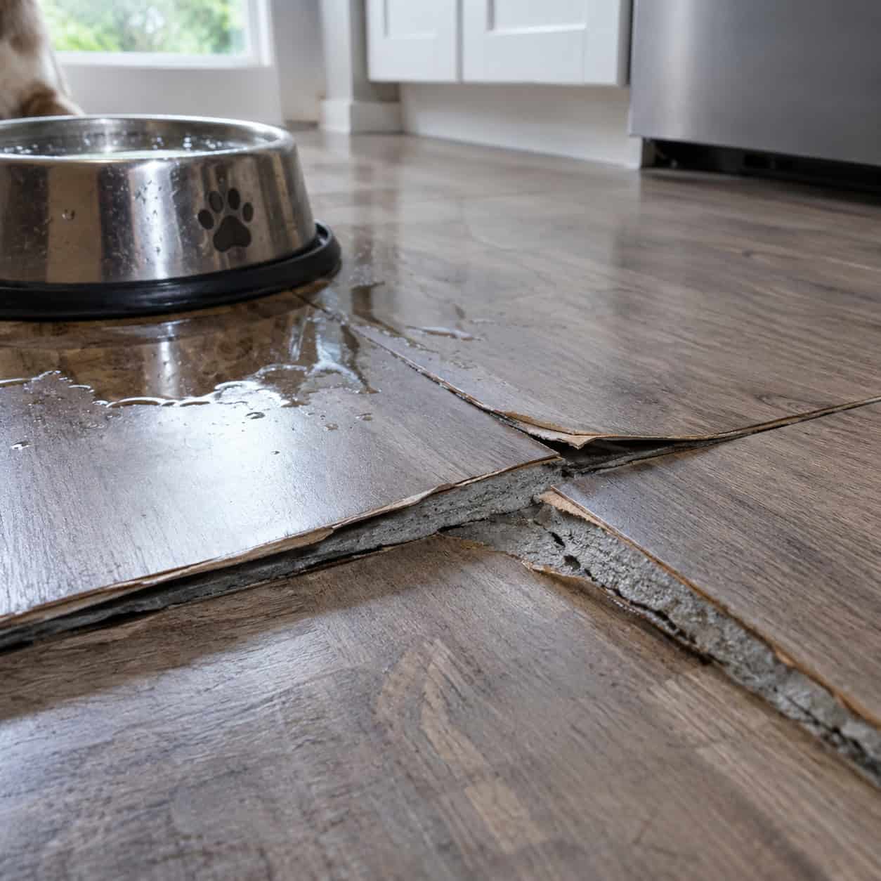 Bargain Laminate With a Fiberboard Core