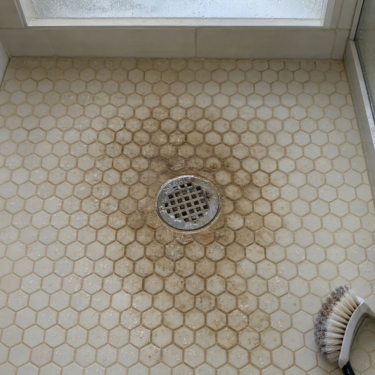 Bright white grout on a shower floor