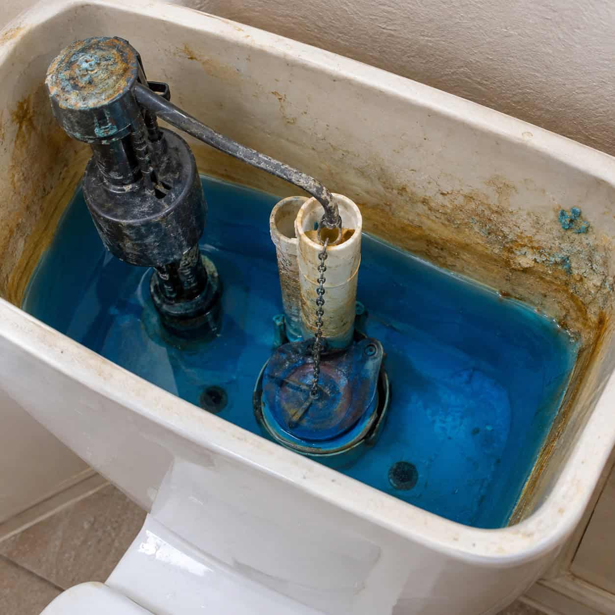 Drop a Blue Cleaning Tablet in the Toilet Tank