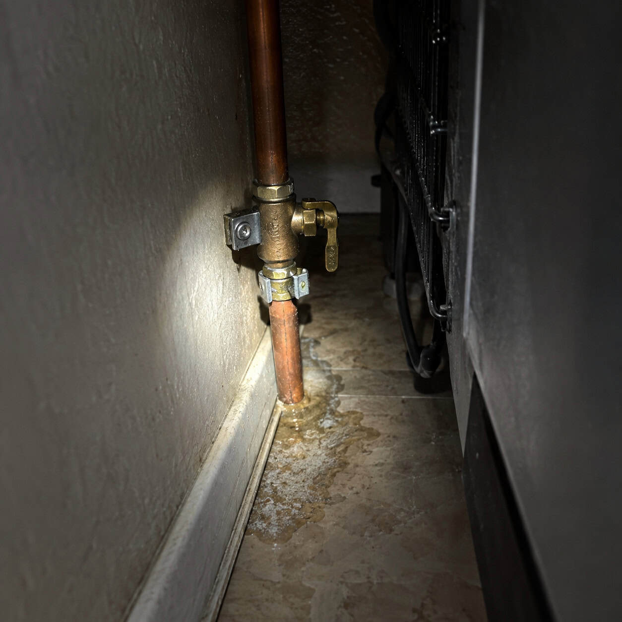 The Saddle Valve Tapped Into the Fridge Line