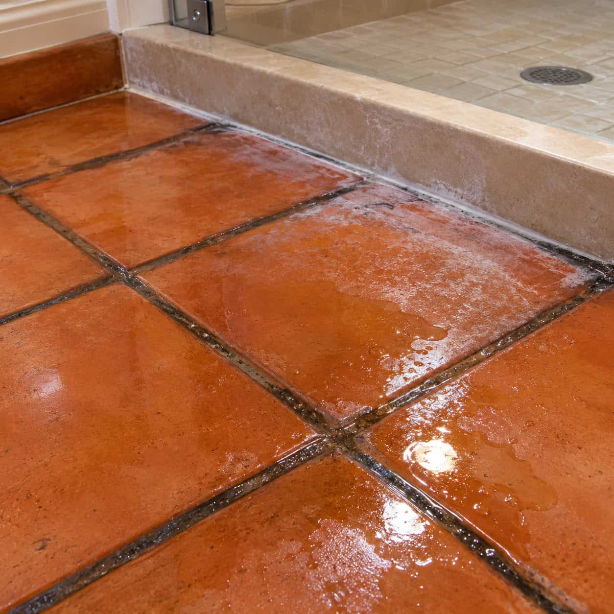 Wall-to-Wall Sealed Saltillo in a Wet Bathroom