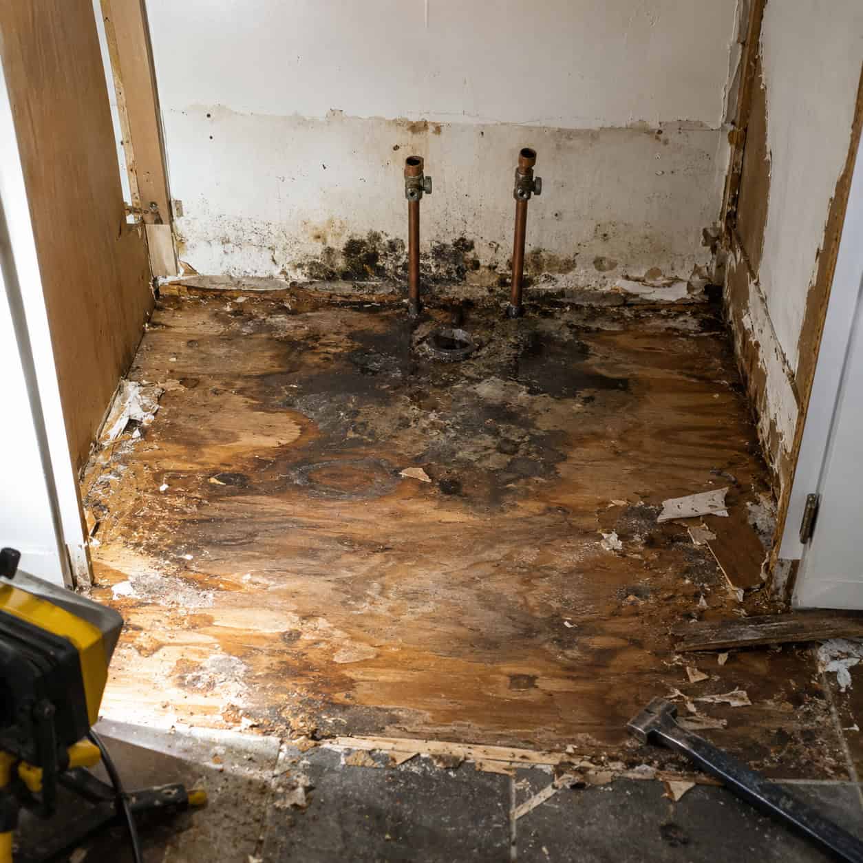 Nobody Knows What's Under the Sink Cabinet Until Demo Day