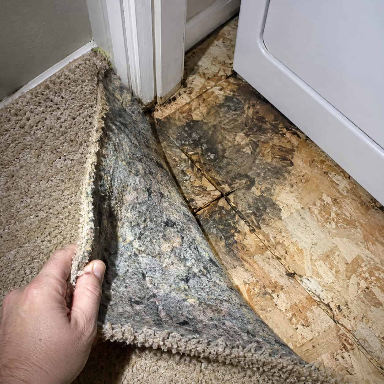 Carpet or Bare Subfloor Inside the Closet