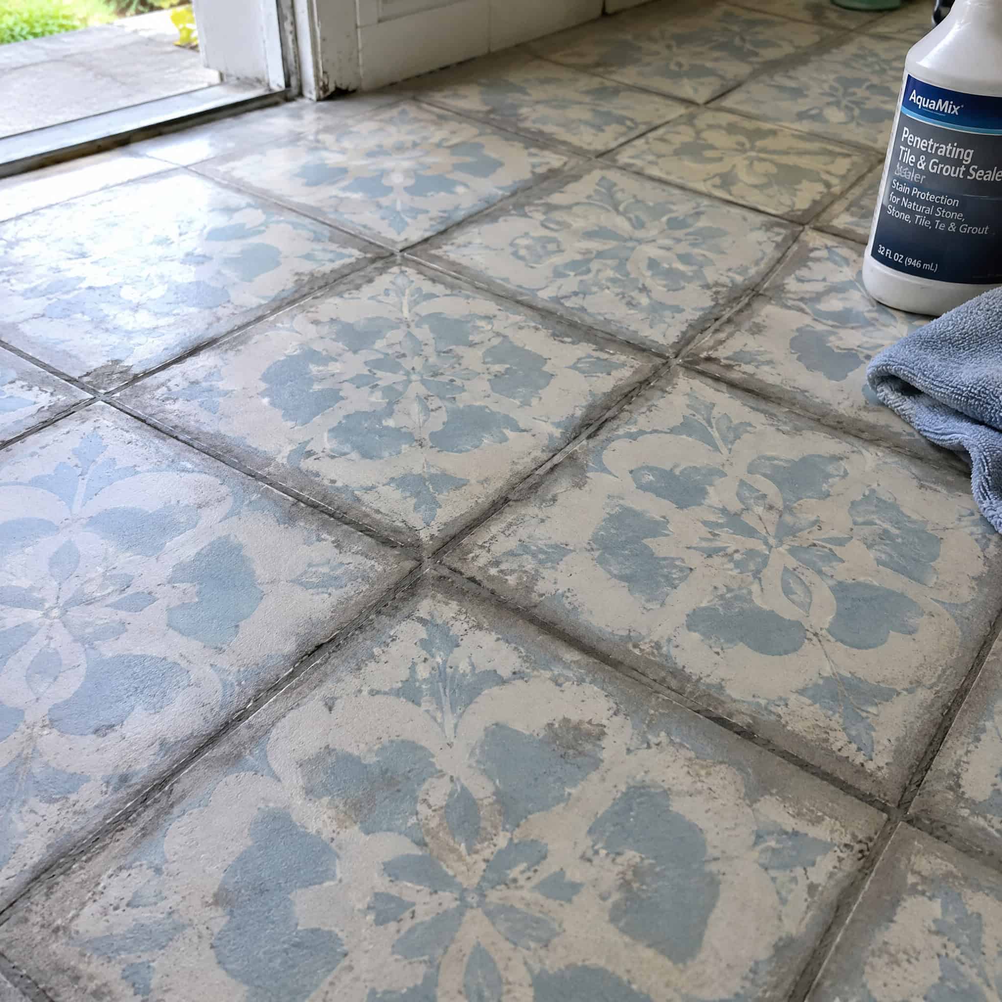 Unsealed Cement (Encaustic) Patterned Tile
