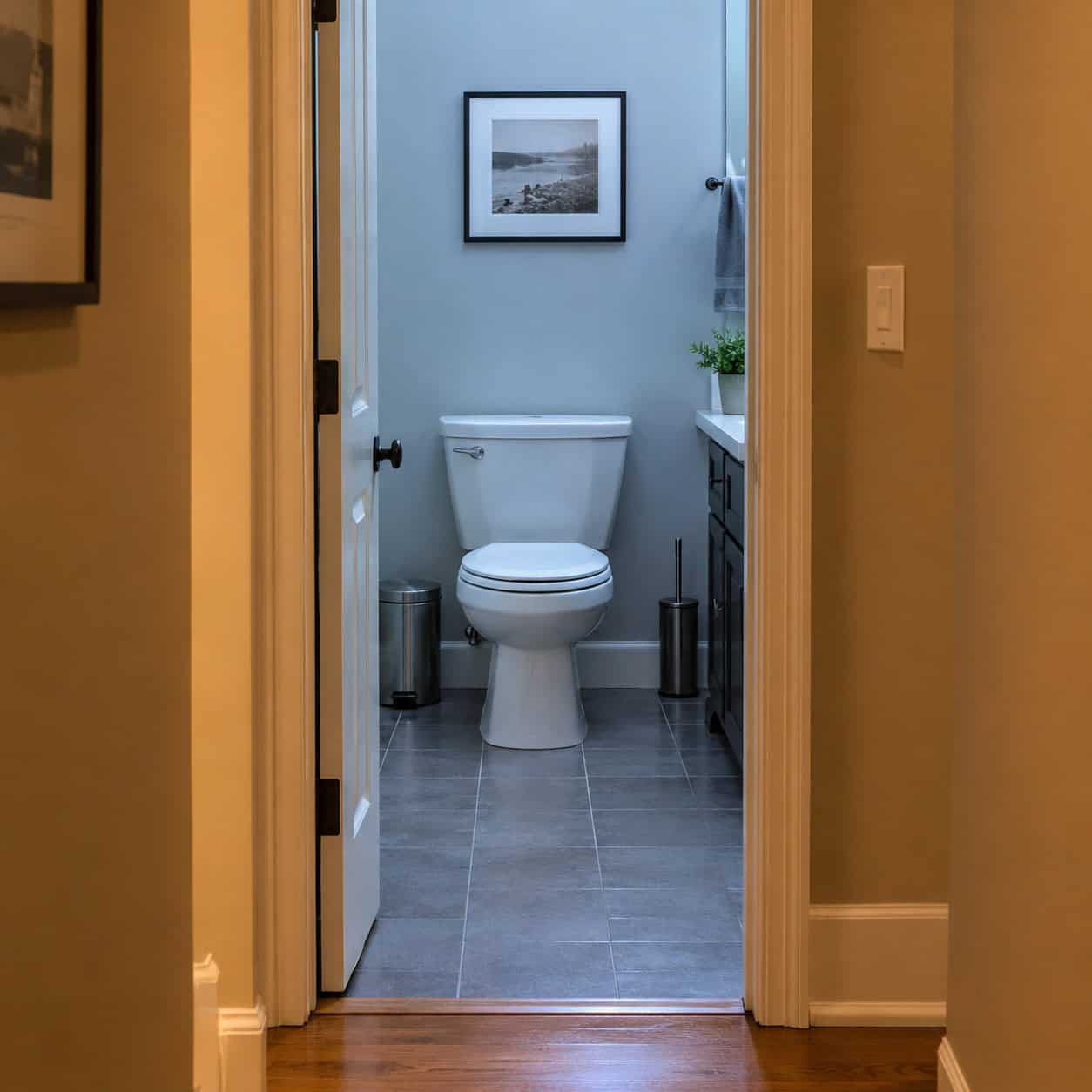 The toilet parked in the door's sightline